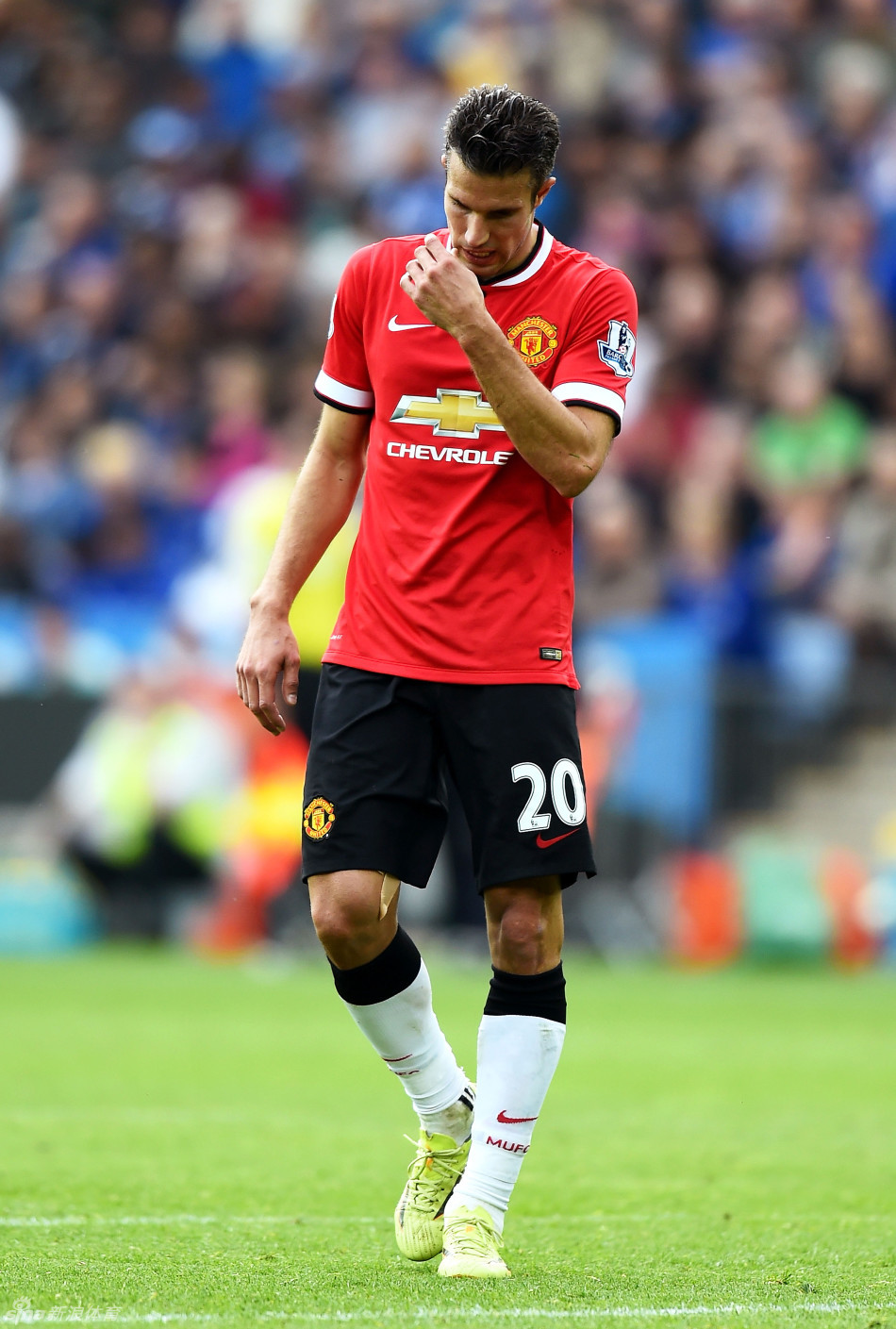 记得及时跟 记得及时跟